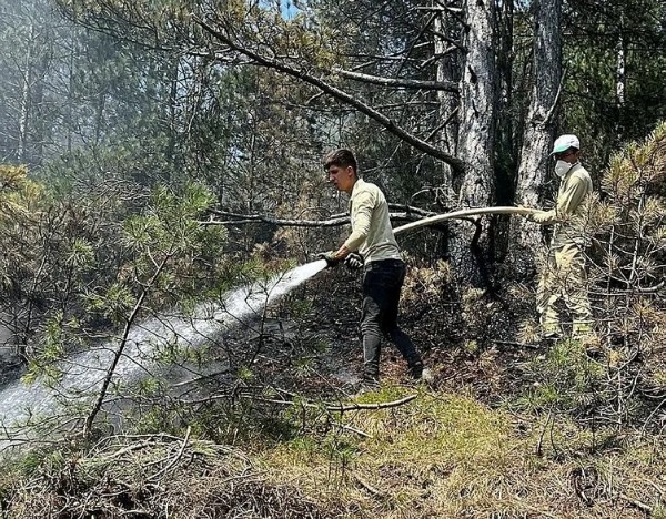 Bolu'daki yangından kurtarılan vatandaşlardan teşekkür! 'Devletimiz imdadımıza yetişti!'